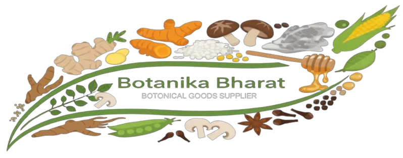 Botanika Bharat LLP Uttarakhand export trade hub